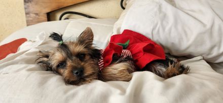 Awesome Product Image