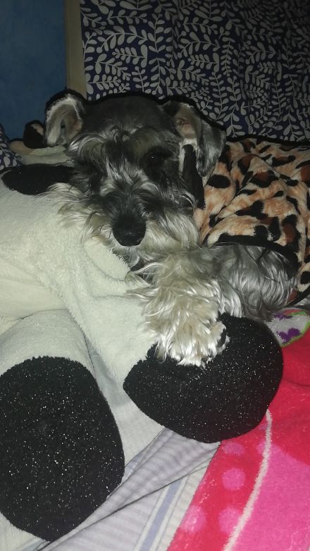 Awesome Product Image