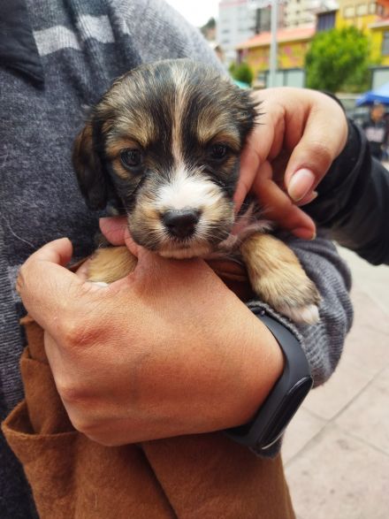 Awesome Product Image