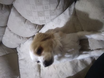 Awesome Product Image