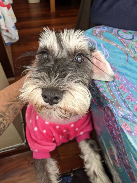 Awesome Product Image