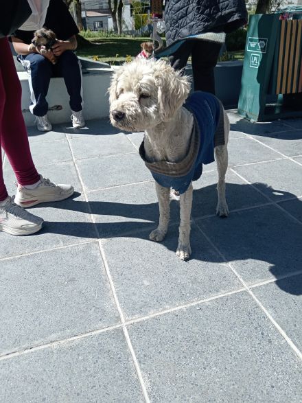 Awesome Product Image