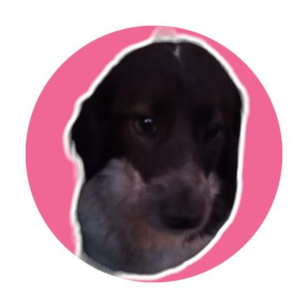 Awesome Product Image