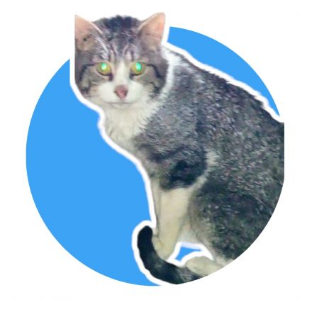 Awesome Product Image