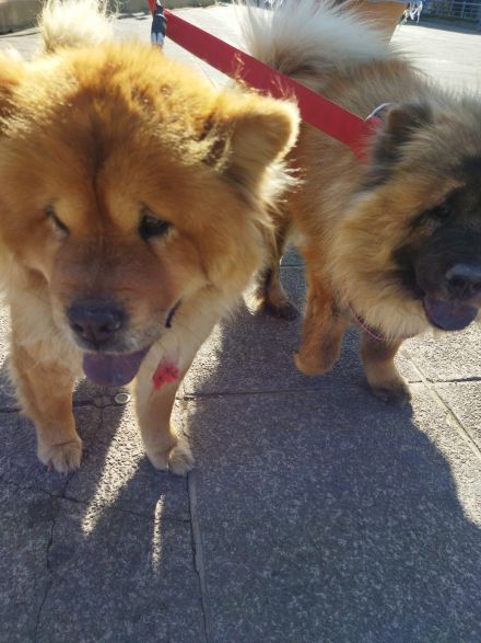 Awesome Product Image