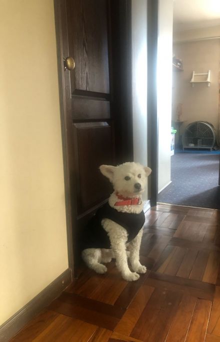 Awesome Product Image