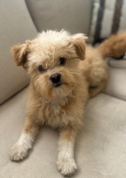 Awesome Product Image