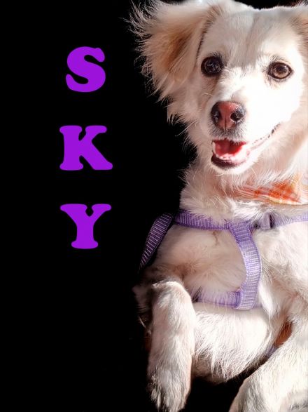 Awesome Product Image