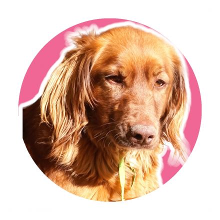 Awesome Product Image