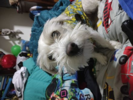 Awesome Product Image