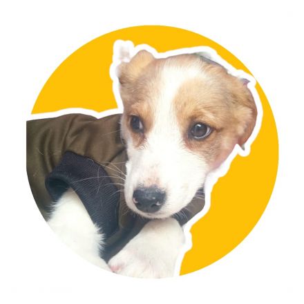 Awesome Product Image