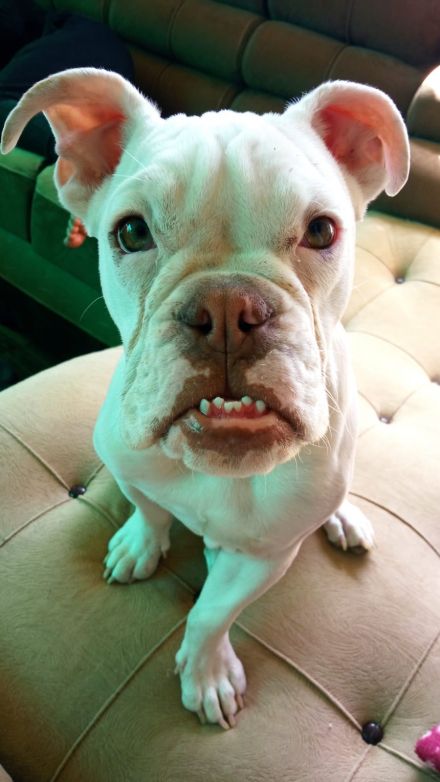 Awesome Product Image