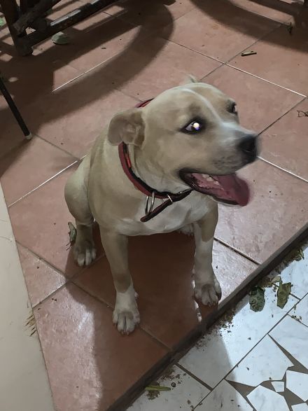 Awesome Product Image