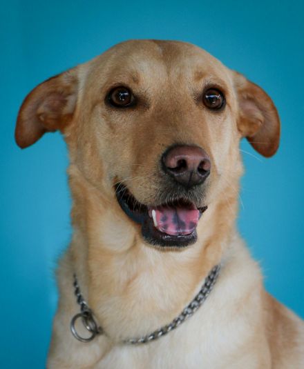 Awesome Product Image