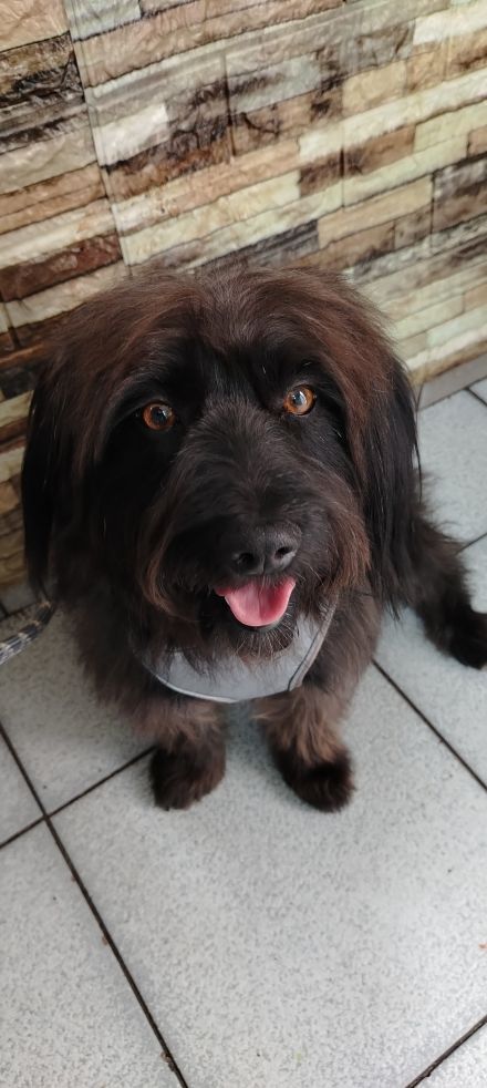 Awesome Product Image