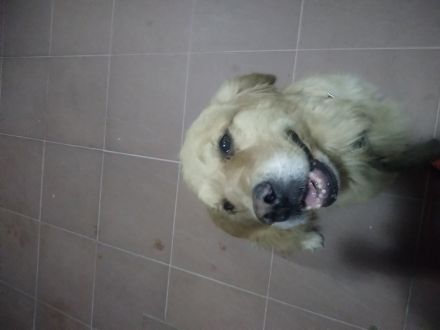 Awesome Product Image