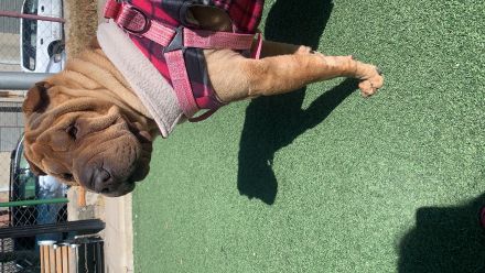 Awesome Product Image