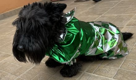 Awesome Product Image