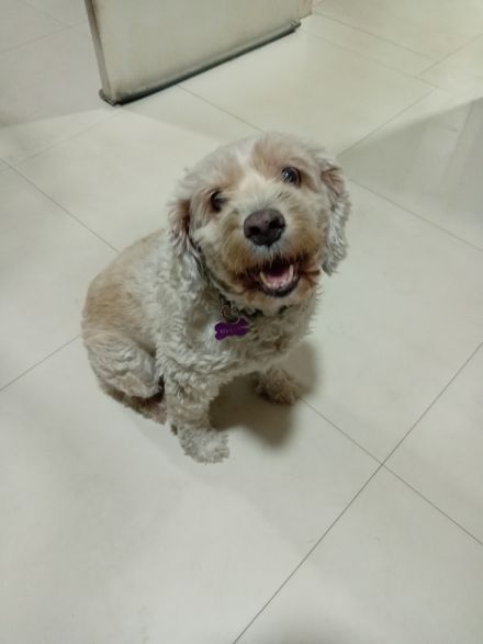 Awesome Product Image