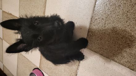 Awesome Product Image