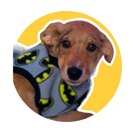 Awesome Product Image