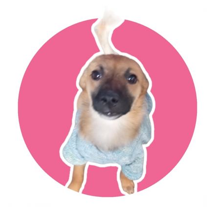 Awesome Product Image