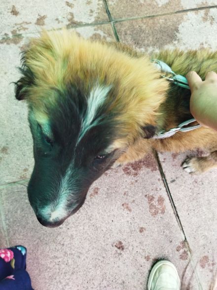 Awesome Product Image