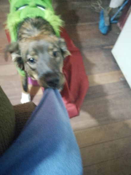 Awesome Product Image