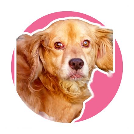 Awesome Product Image