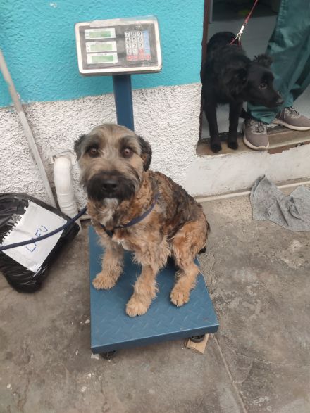 Awesome Product Image