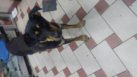 Awesome Product Image