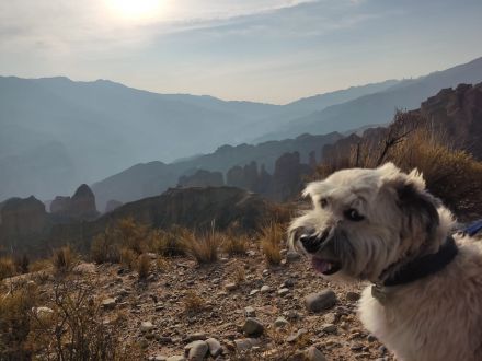 Awesome Product Image