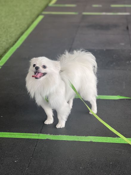 Awesome Product Image