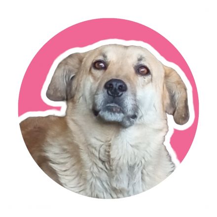 Awesome Product Image