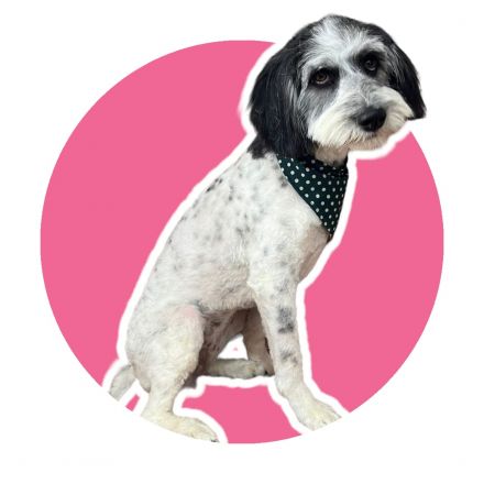 Awesome Product Image