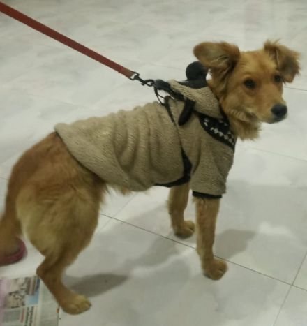 Awesome Product Image