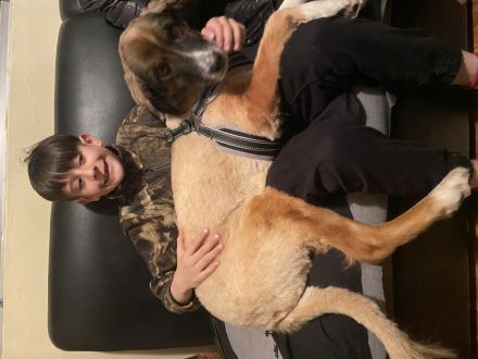 Awesome Product Image