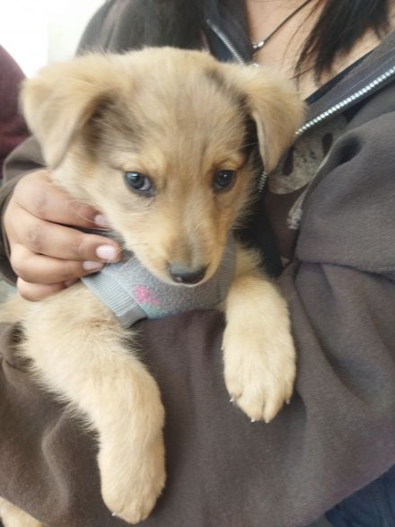 Awesome Product Image