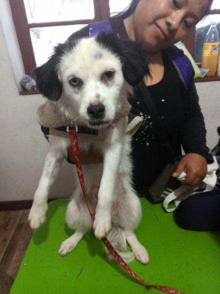 Awesome Product Image