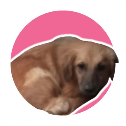 Awesome Product Image