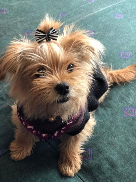 Awesome Product Image