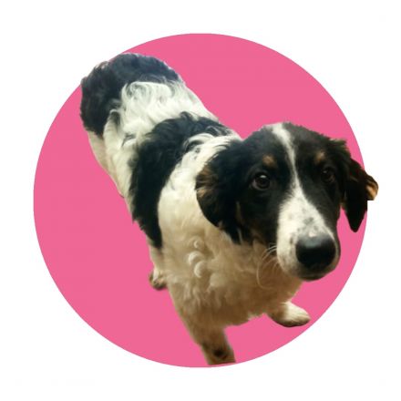 Awesome Product Image