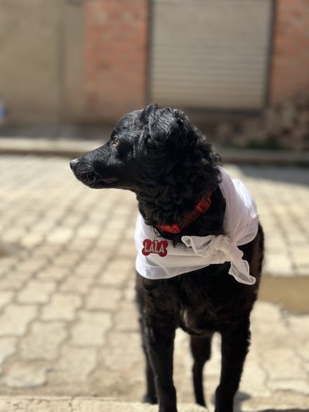 Awesome Product Image