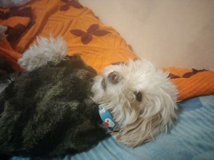 Awesome Product Image