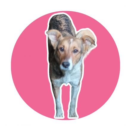 Awesome Product Image