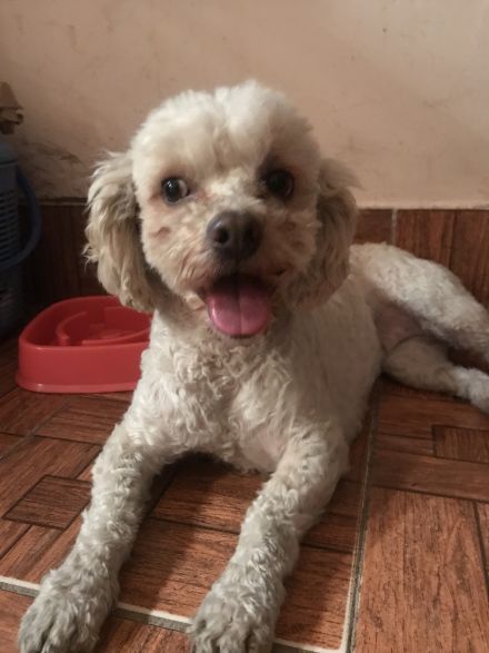 Awesome Product Image