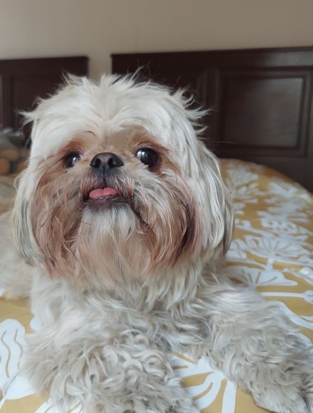 Awesome Product Image