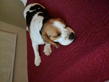 Awesome Product Image