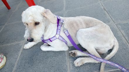 Awesome Product Image