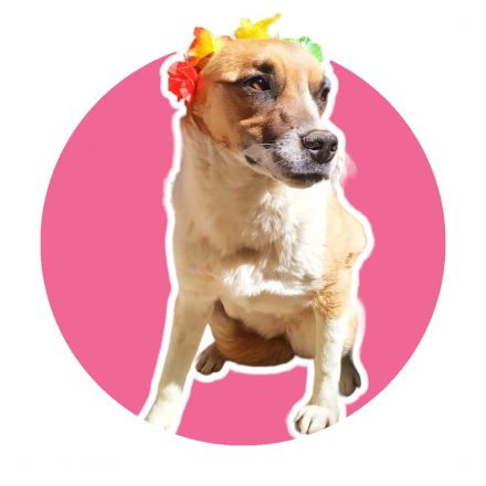 Awesome Product Image